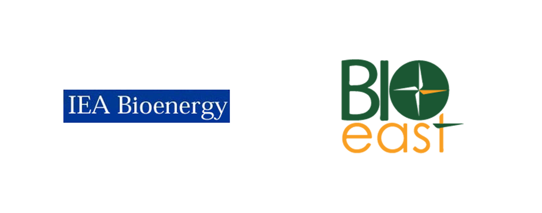 Centar kompetencija i East Europe Hub (ROSEWOOD) predstavljeni na zajedničkoj međunarodnoj radionici IEA Bioenergy Task 43 i BioEast inicijative