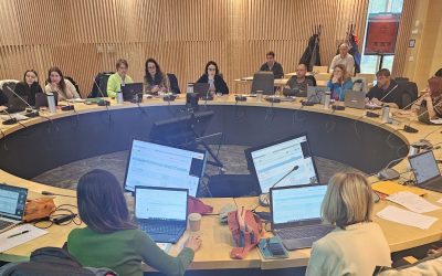 NBS4LOCAL: Održan međuregionalni sastanak projektnih partnera i posjet primjerima dobre prakse u Finskoj