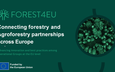 Održan je 3. sastanak Policy Focus grupe Jugoistočne Europe u okviru projekta FOREST4EU