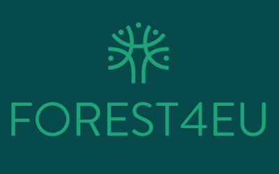 Predstavljamo drugo izdanje FOREST4EU newslettera