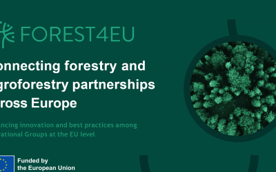 FOREST4EU: Održana radionica za prijenos znanja na Fakultetu šumarstva i drvne tehnologije