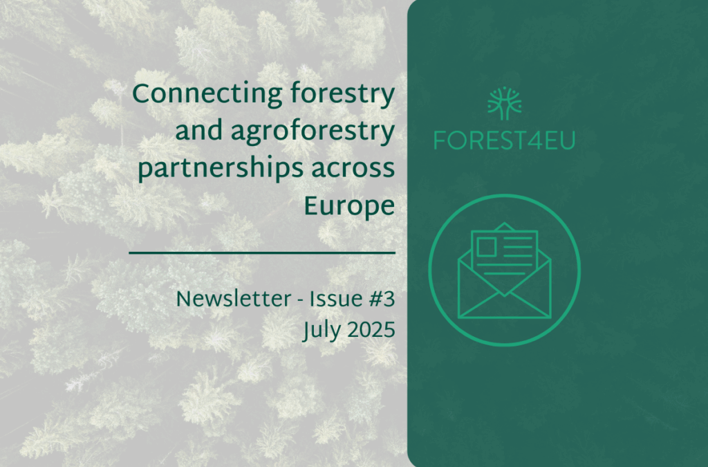 Predstavljamo treće izdanje FOREST4EU newslettera