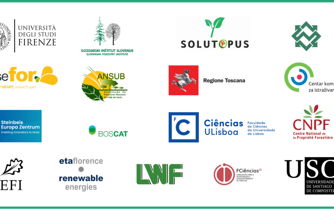 Posljednji dan provedbe projekta FOREST4EU (Obzor Europa)